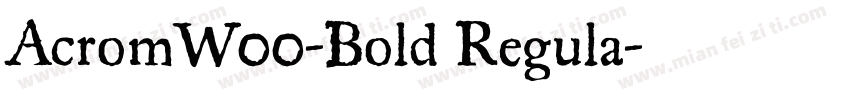 AcromW00-Bold Regula字体转换